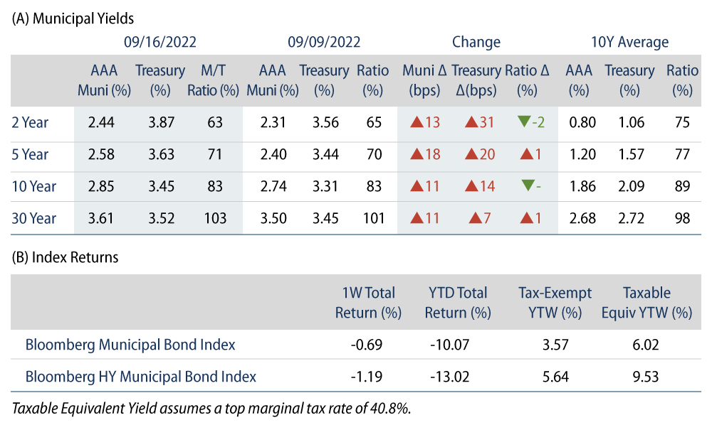 Explore Municipal Bond Yields and Index Returns