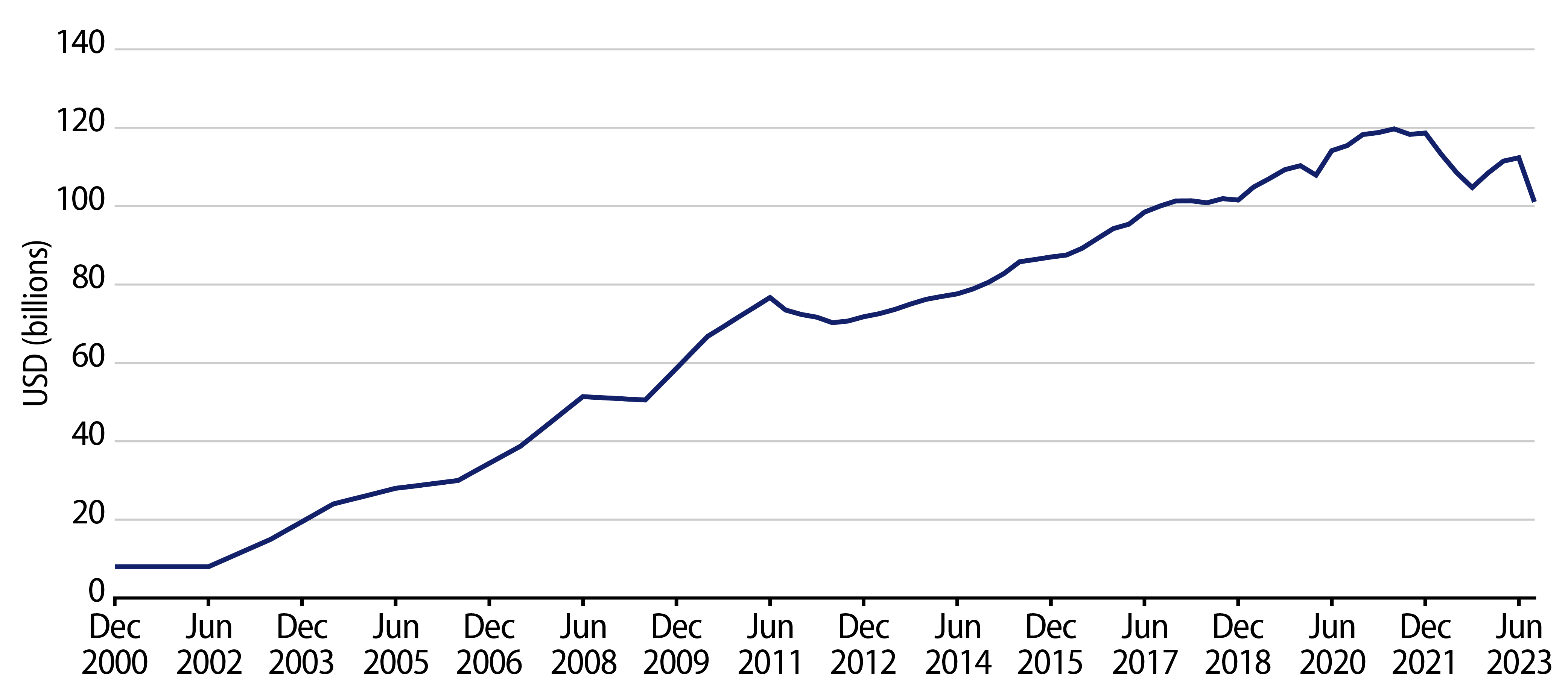 Explore Non-US Muni Investors